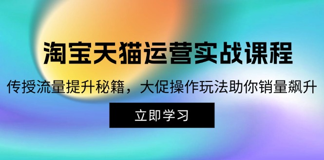 淘宝&天猫运营实战课程，传授流量提升秘籍，大促操作玩法助你销量飙升-随风资源网