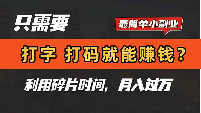 只需要打字，打码，就能赚钱？简单的赚钱小副业，利用碎片时间，月入过万-随风资源网