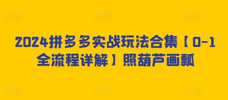 2024拼多多实战玩法合集【0-1全流程详解】照葫芦画瓢-随风资源网