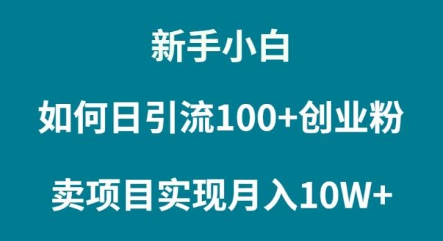 (9556期)新手小白如何通过卖项目实现月入10W+-随风资源网