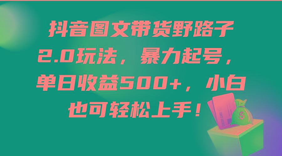 (9790期)抖音图文带货野路子2.0玩法，暴力起号，单日收益500+，小白也可轻松上手！-随风资源网