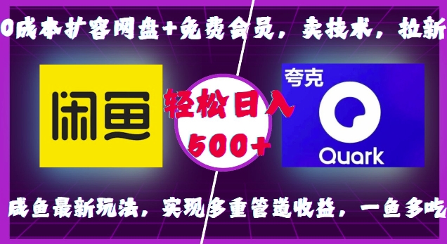 0成本扩容网盘+免费会员，卖技术，拉新，咸鱼最新玩法，实现多重管道收益，一鱼多吃，轻松日入500+-随风资源网