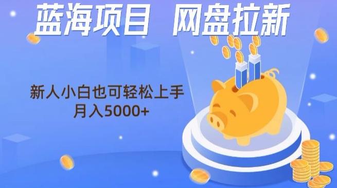 蓝海项目网盘拉新，新人小白也可操作，每月收入5000+-随风资源网