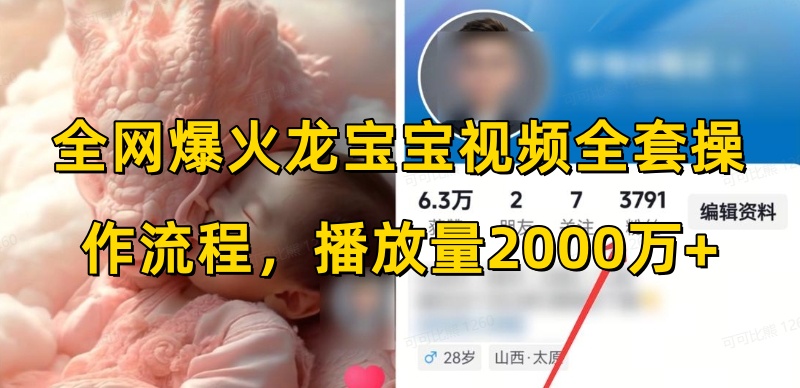 全网爆火龙宝宝视频全套操作流程，播放量2000万+-随风资源网
