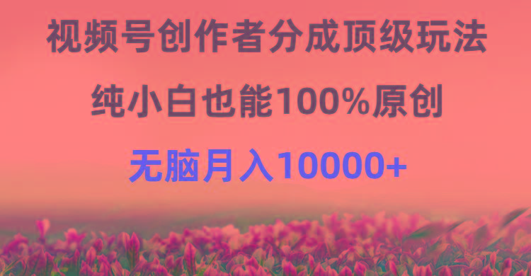 (9608期)视频号创作者分成顶级玩法，纯小白也能100%原创，无脑月入10000+-随风资源网