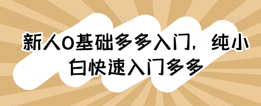 新人0基础多多入门，​纯小白快速入门多多-随风资源网