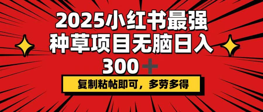 2025小红书最强种草项目，无脑日入300+，复制粘帖即可，多劳多得-随风资源网
