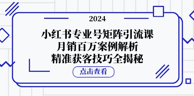 小红书专业号矩阵引流课，月销百万案例解析，精准获客技巧全揭秘-随风资源网