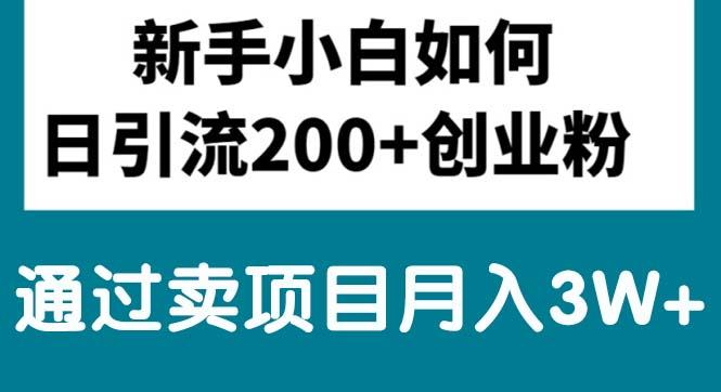 新手小白日引流200+创业粉,通过卖项目月入3W+-随风资源网
