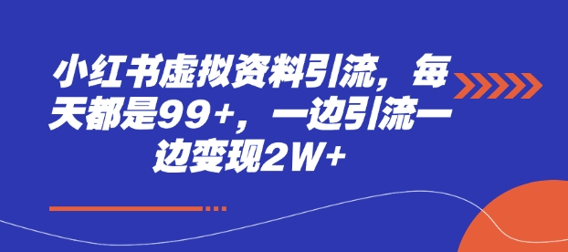 小红书虚拟资料引流，每天都是99+，一边引流一边变现2W+-随风资源网