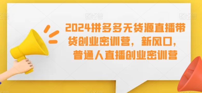 2024拼多多无货源直播带货创业密训营，新风口，普通人直播创业密训营-随风资源网