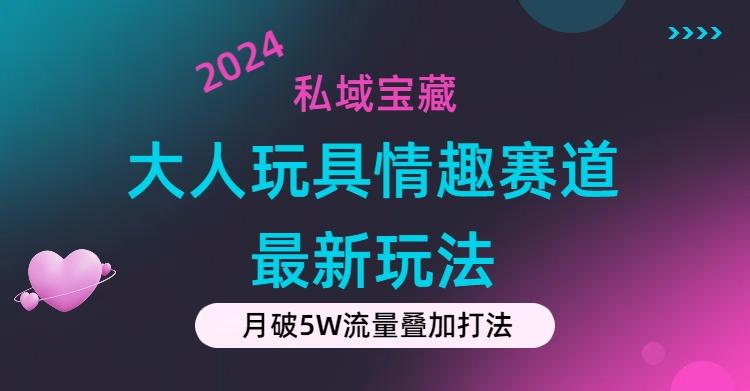 私域宝藏：大人玩具情趣赛道合规新玩法，零投入，私域超高流量成单率高-随风资源网