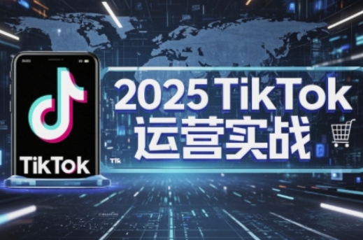 2025TikTok电商运营，掌握TikTok店铺运营核心技巧，实现低成本高转化-随风资源网