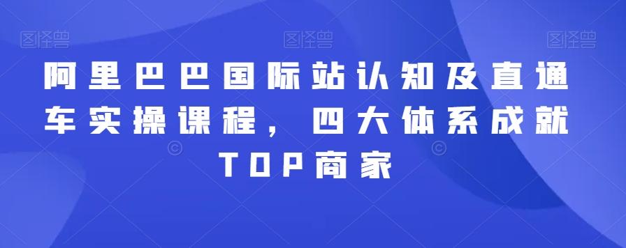 阿里巴巴国际站认知及直通车实操课程，四大体系成就TOP商家-随风资源网