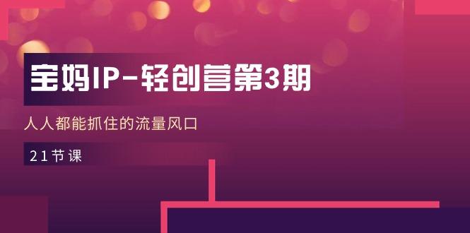宝妈IP-轻创营第3期，人人都能抓住的流量风口(21节课-随风资源网