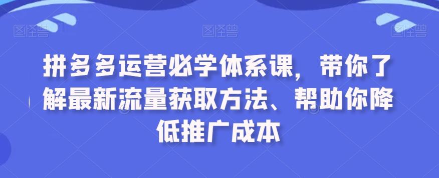 拼多多运营必学体系课，带你了解最新流量获取方法、帮助你降低推广成本-随风资源网