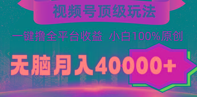 (9281期)视频号顶级玩法，无脑月入40000+，一键撸全平台收益，纯小白也能100%原创-随风资源网