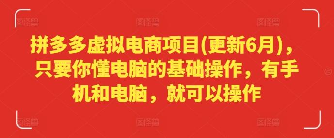 拼多多虚拟电商项目(更新6月)，只要你懂电脑的基础操作，有手机和电脑，就可以操作-随风资源网