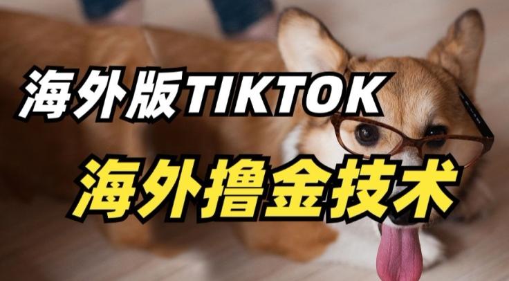 抖音海外版tiktok撸金技术，这个风口行业，赚钱真的不难【揭秘】-随风资源网