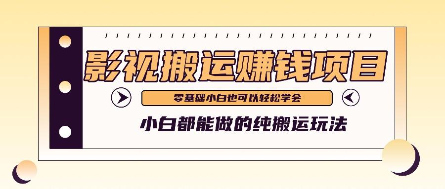 手把手教你操作影视搬运项目，小白都能做零基础也能赚钱-随风资源网