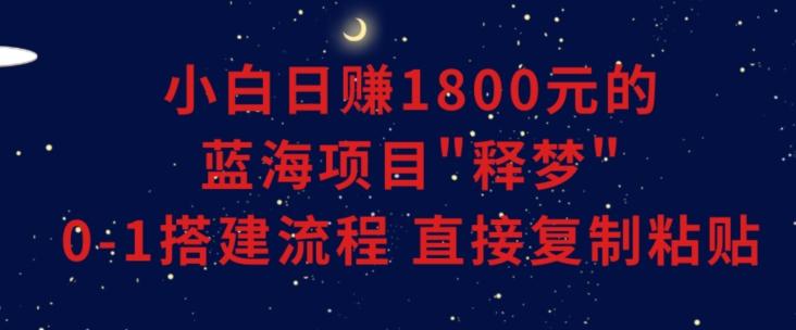 小白能日赚1800元的蓝海项目”释梦”0-1搭建流程可直接复制粘贴长期做【揭秘】-随风资源网
