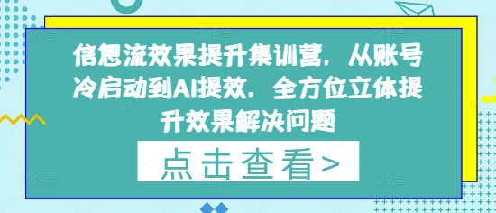 信息流效果提升集训营，从账号冷启动到AI提效，全方位立体提升效果解决问题-随风资源网