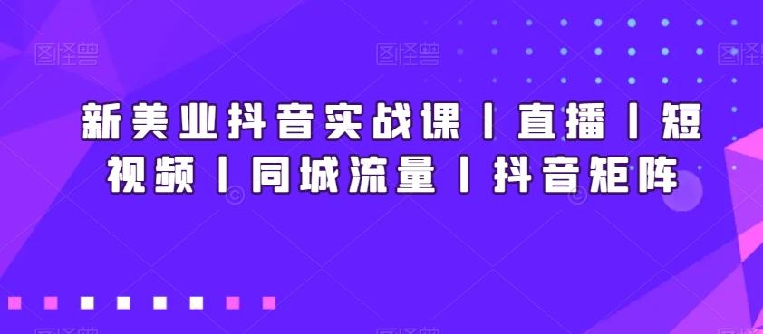 新美业抖音实战课丨直播丨短视频丨同城流量丨抖音矩阵-随风资源网