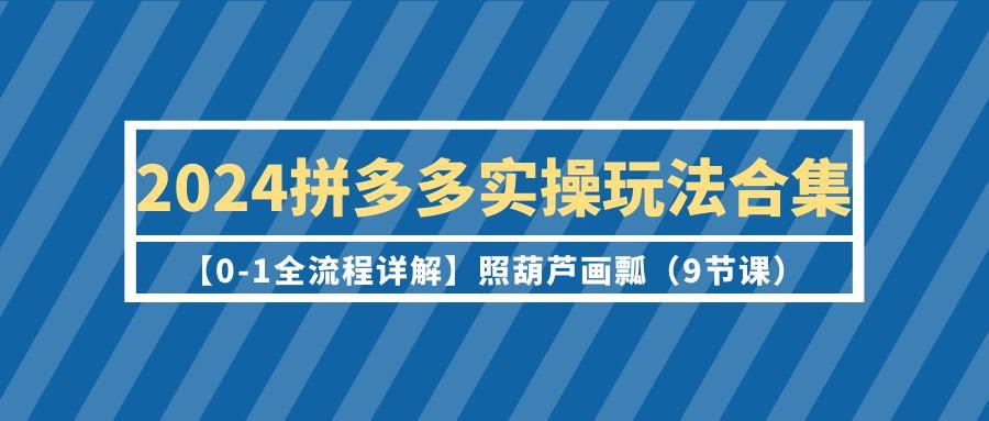 (9559期)2024拼多多实操玩法合集【0-1全流程详解】照葫芦画瓢(9节课)-随风资源网