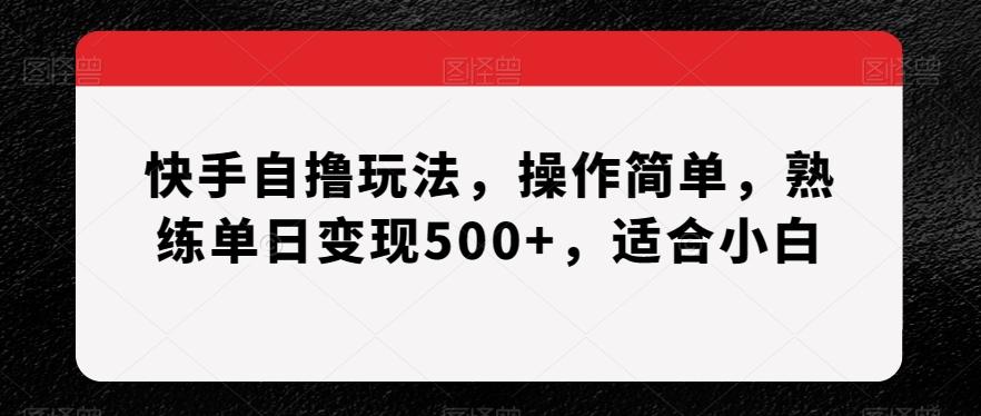 快手自撸玩法，操作简单，熟练单日变现500+，适合小白【揭秘】-随风资源网