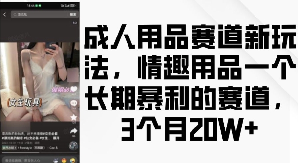 成人用品赛道新玩法，情趣用品一个长期暴利的赛道，3个月收益20个【揭秘】-随风资源网