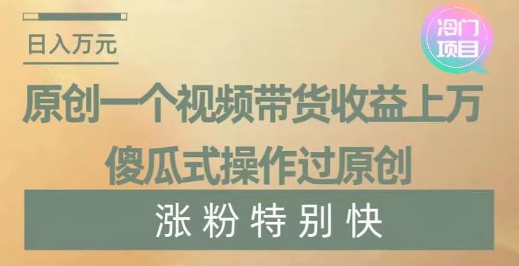原创一个视频带货收益上万，傻瓜式操作过原创，几分钟做一个视频涨粉特别快【揭秘】-随风资源网