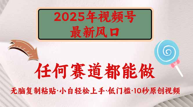 2025年视频号新风口，低门槛只需要无脑执行-随风资源网