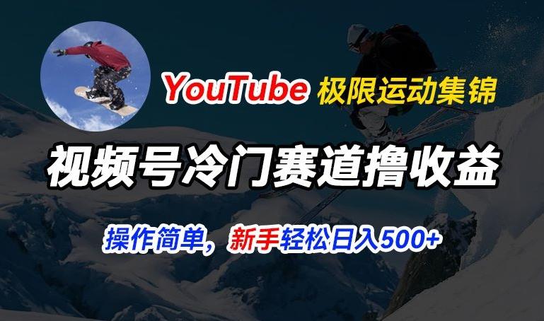 视频号冷门赛道撸收益，YouTube搬运极限运动集锦，暴力起号，操作简单流量高，轻松日入5张【揭秘】-随风资源网