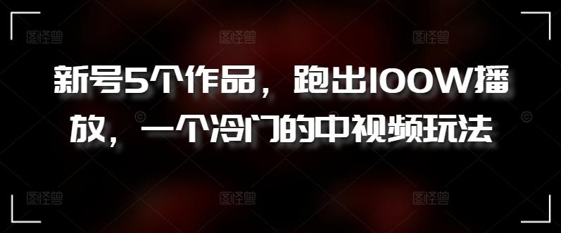 新号5个作品，跑出100W播放，一个冷门的中视频玩法【揭秘】-随风资源网