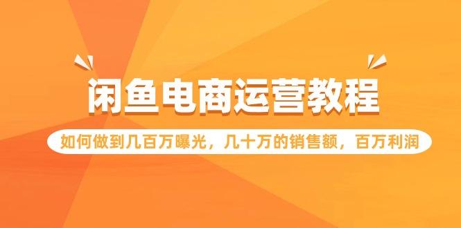 (9560期)闲鱼电商运营教程：如何做到几百万曝光，几十万的销售额，百万利润-随风资源网