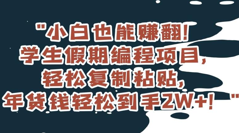 小白也能赚翻！学生假期编程项目，轻松复制粘贴，年货钱轻松到手2W+【揭秘】-随风资源网