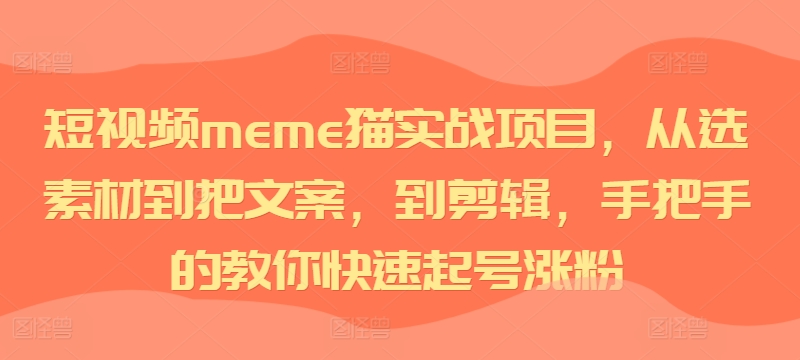 短视频meme猫实战项目，从选素材到把文案，到剪辑，手把手的教你快速起号涨粉-随风资源网