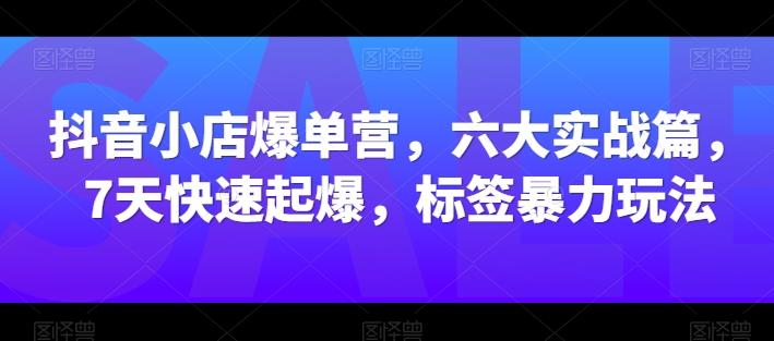 抖音小店爆单营，六大实战篇，7天快速起爆，标签暴力玩法-随风资源网