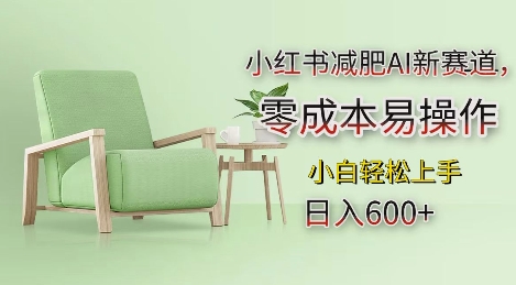 小红书减肥AI新赛道，零成本易操作，日入多张，小白轻松上手【揭秘】-随风资源网