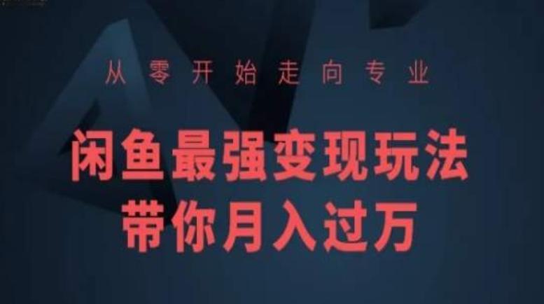 从零开始走向专业，闲鱼最强变现玩法带你月入过万-随风资源网