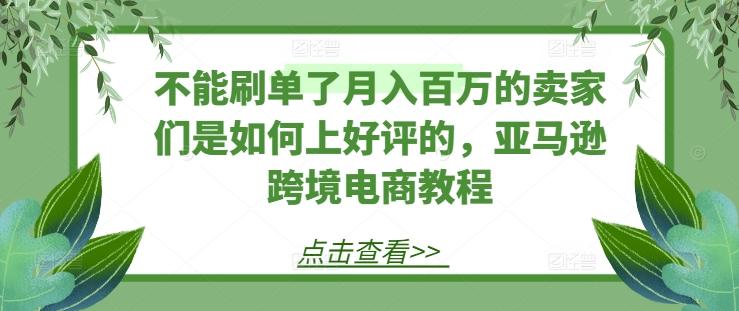 不能刷单了月入百万的卖家们是如何上好评的，亚马逊跨境电商教程-随风资源网
