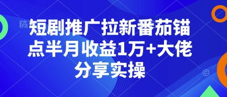 短剧推广拉新番茄锚点半月收益1万+大佬分享实操-随风资源网