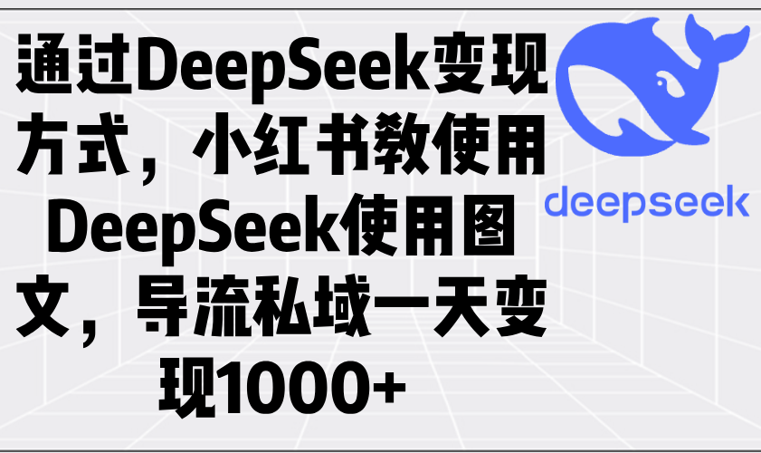 通过DeepSeek变现方式，小红书教使用DeepSeek图文，导流私域一天变现1000+-随风资源网
