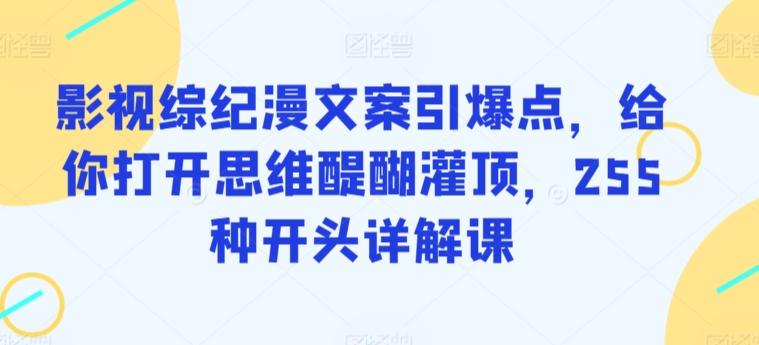 影视综纪漫文案引爆点，给你打开思维醍醐灌顶，255种开头详解课-随风资源网