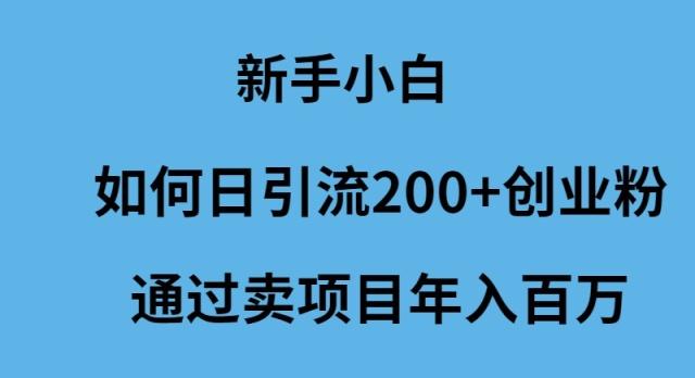 (9668期)新手小白如何日引流200+创业粉通过卖项目年入百万-随风资源网