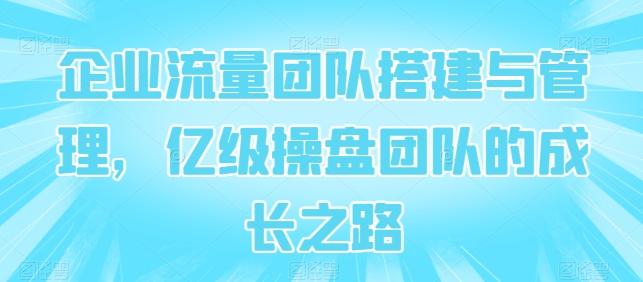 企业流量团队搭建与管理，亿级操盘团队的成长之路-随风资源网