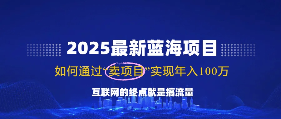 2025最新蓝海项目，零门槛轻松复制，月入10万+，新手也能操作！-随风资源网