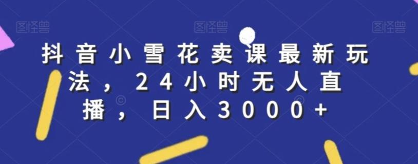 抖音小雪花卖课最新玩法，24小时无人直播，日入3000+【揭秘】-随风资源网