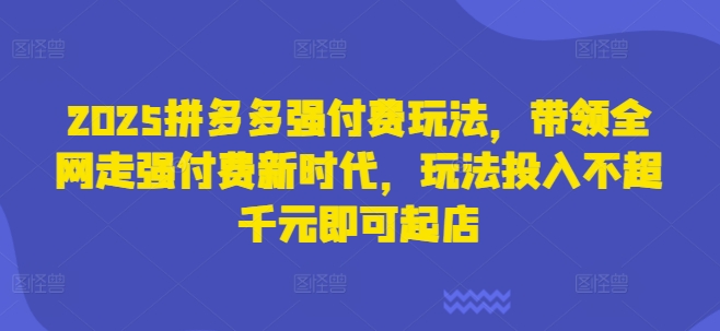 2025拼多多强付费玩法，带领全网走强付费新时代，玩法投入不超千元即可起店-随风资源网