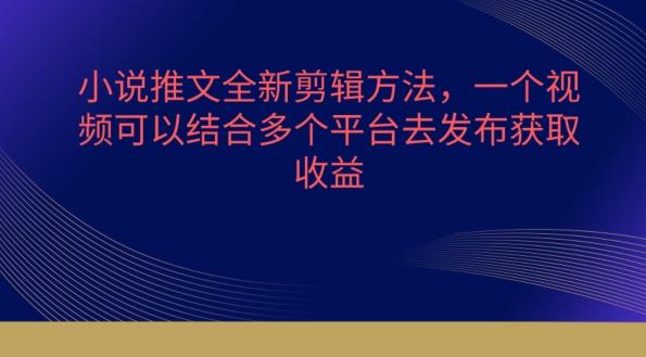 小说推文全新剪辑方法，一个视频可以结合多个平台去发布获取【揭秘】-随风资源网